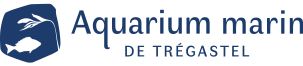 Aquarium marin de Trégastel